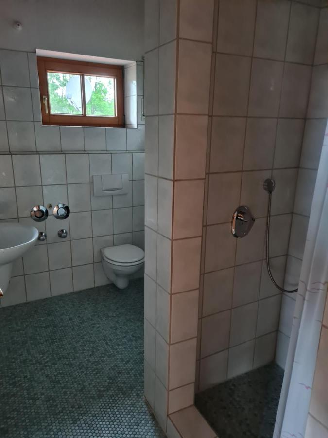 Toller Bergblick Vom Ruhigen Sonnenbalkon, Nur 50M Zum See & Oepnv Inklusive Blaichach Exteriör bild
